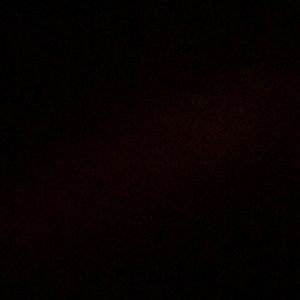 Meet your Posher, Kylee